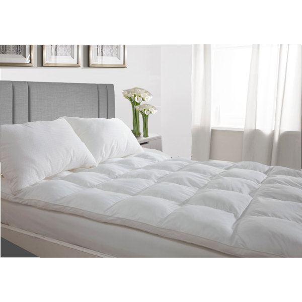 Symple Stuff 10.16cm Microfibre Mattress Topper & Reviews Wayfair.co.uk